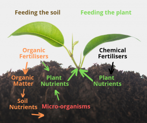 Mescola azoto, fosforo, potassio, compost organico e fertilizzante micronutriente