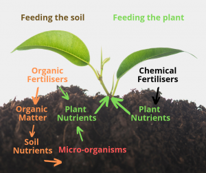 Kuvanga azote, fosifore, potasiyumu, ifumbire mvaruganda, nifumbire ya micronutrient